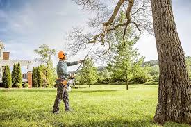 Trusted Milford, IA Tree Services Experts